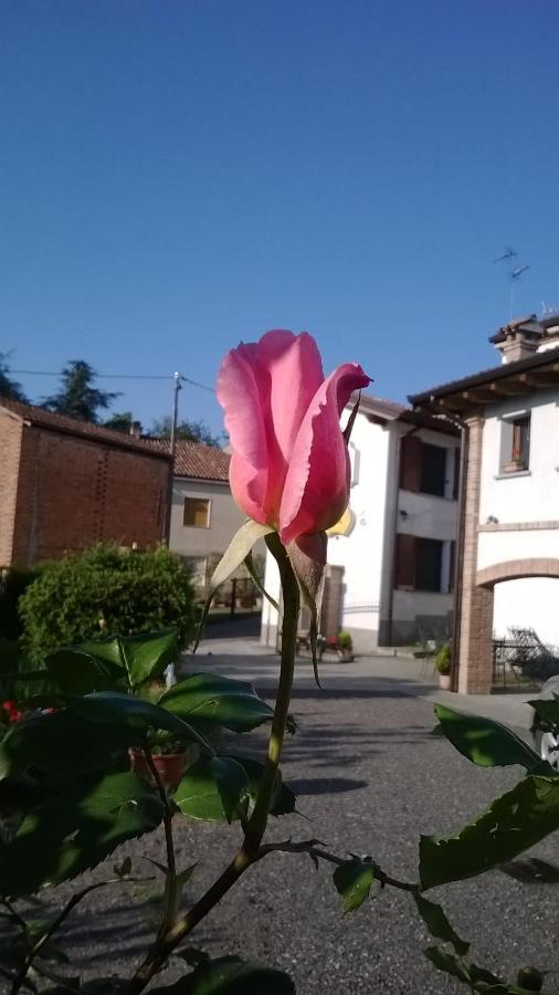 Gli Acini Bed & Breakfast Pietra dei Giorgi Екстериор снимка